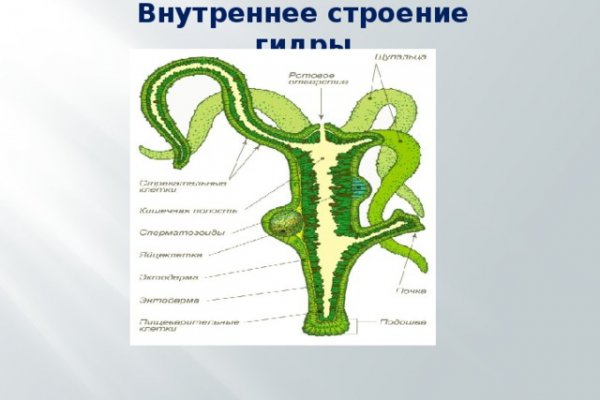 Блэк спрут ссылка blacksprute com